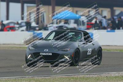 media/Dec-19-2025-Lucky Dog Racing (Fri) [[3b7b1b5fc8]]/Intermediate/Session 2 Turn 1 Speed Pan/